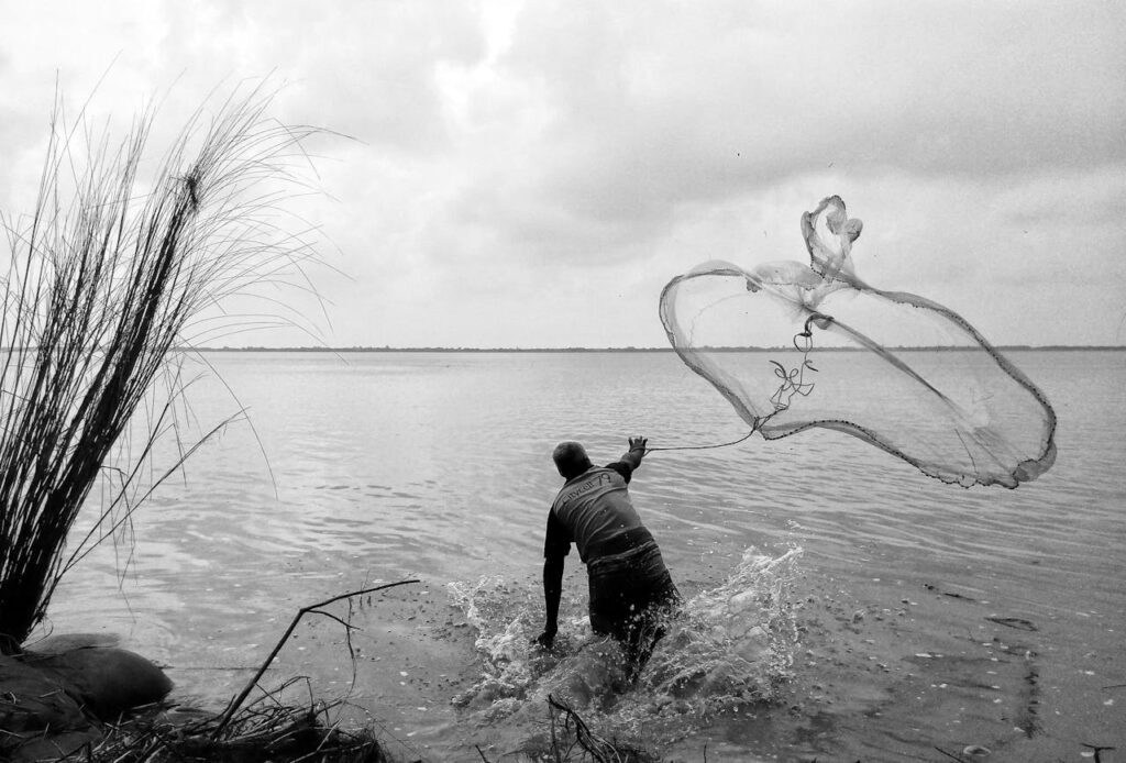 cast net for bait fish cast net for bait fish